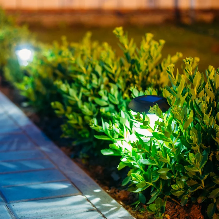Landscape Lighting and Trimming Services by Texas Dreamscapes