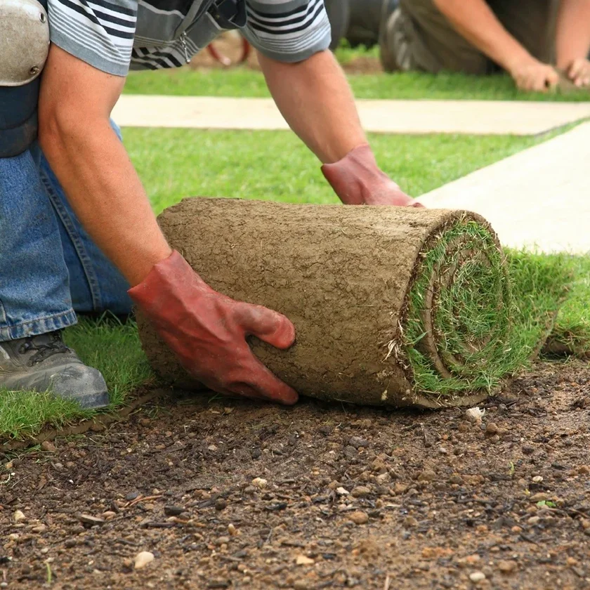 Sod and Grass Installation by Texas Dreamscapes